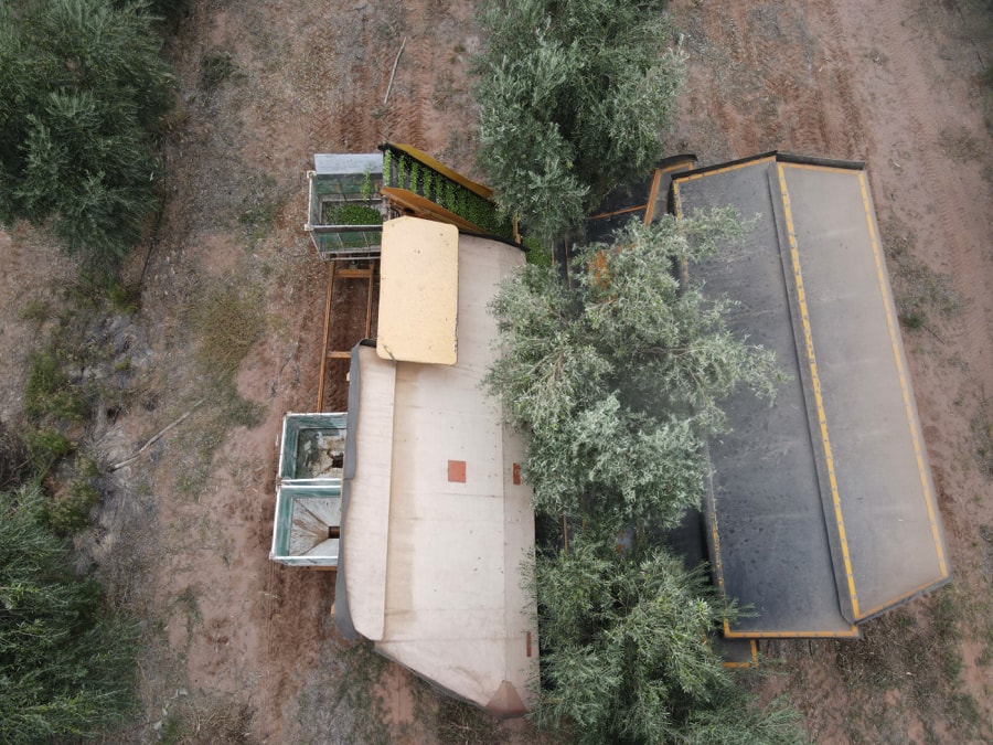 dji_export_1647002268128