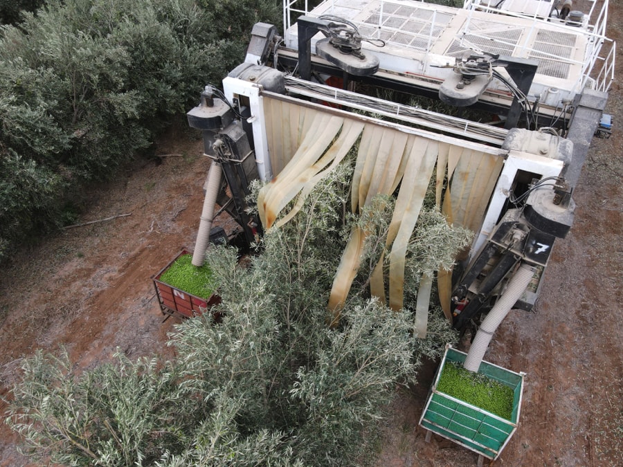 dji_export_1647002272999